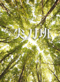 青娱乐91在线